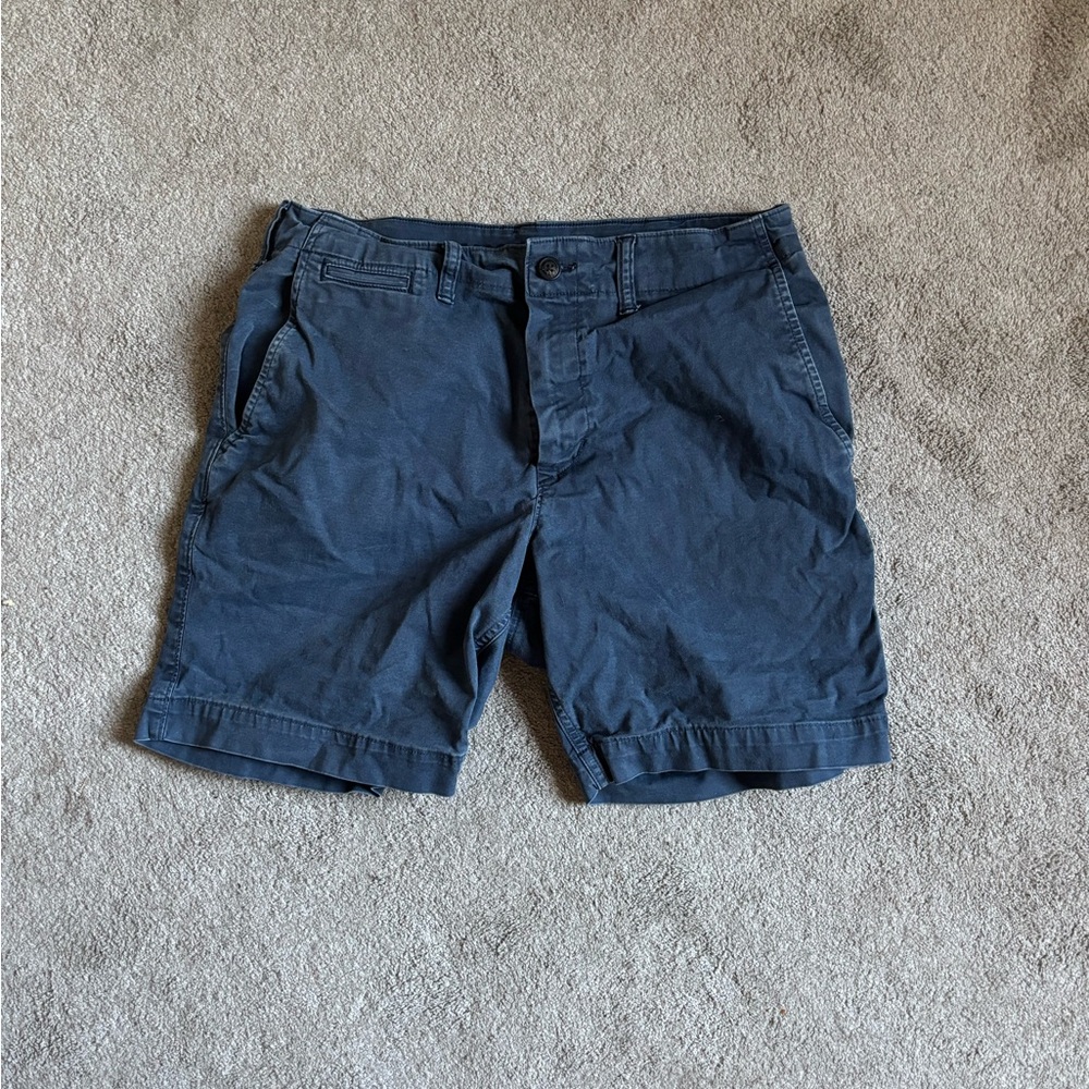 American Eagle Outfitters Blue Flat Front Shorts